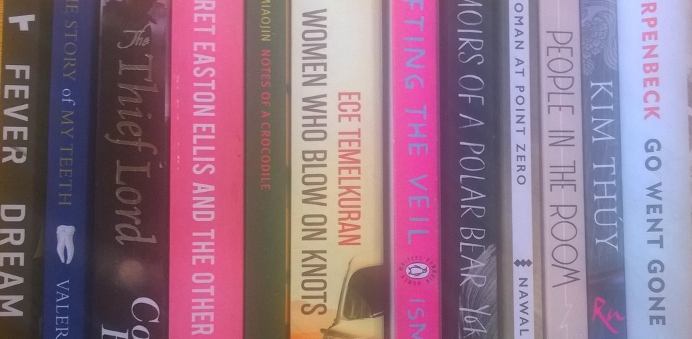 Row of books written by female books in translation